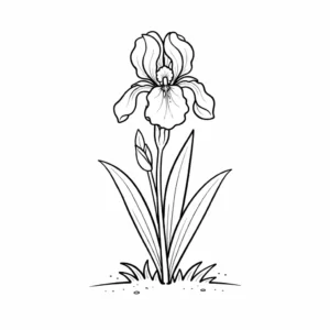 דף צביעה של פרח איריס להדפסה