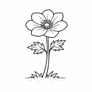 דף צביעה של פרח כלנית להדפסה