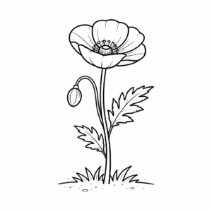 דף צביעה של פרח פרג להדפסה