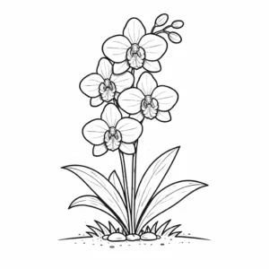 דף צביעה של פרחי סחלב להדפסה