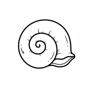 דף צביעה של קונכייה לקטנטנים להדפסה