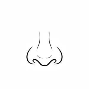 דף צביעה של אף להדפסה