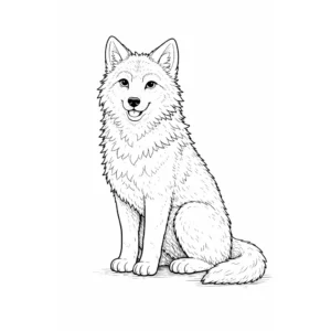 דף צביעה של זאב בוגר יושב להדפסה