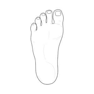 דף צביעה של כף רגל להדפסה