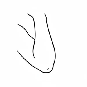 דף צביעה של מרפק להדפסה