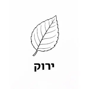 דף צביעה של עלה לימוד ירוק להדפסה
