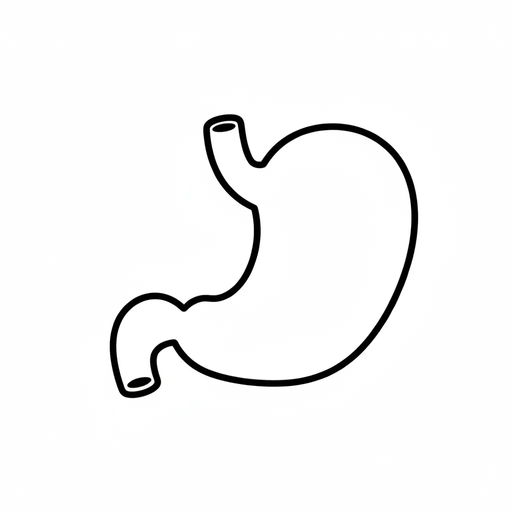 דף צביעה של קיבה להדפסה