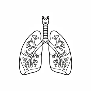 דף צביעה של ריאות להדפסה
