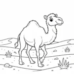 דף צביעה של גמל בישראל להדפסה