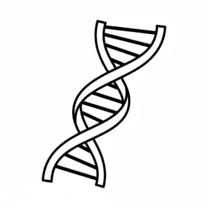 דף צביעה של די אן איי להדפסה