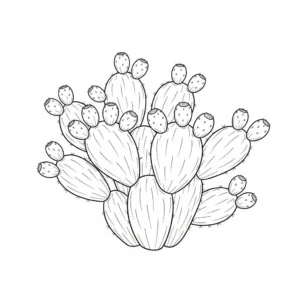 דף צביעה של צבר צמח הקקטוס להדפסה