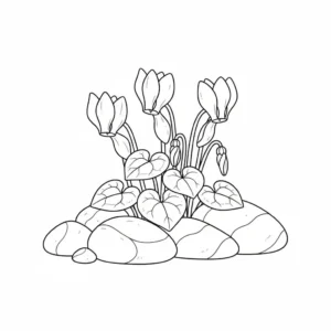 דף צביעה של רקפות בישראל להדפסה