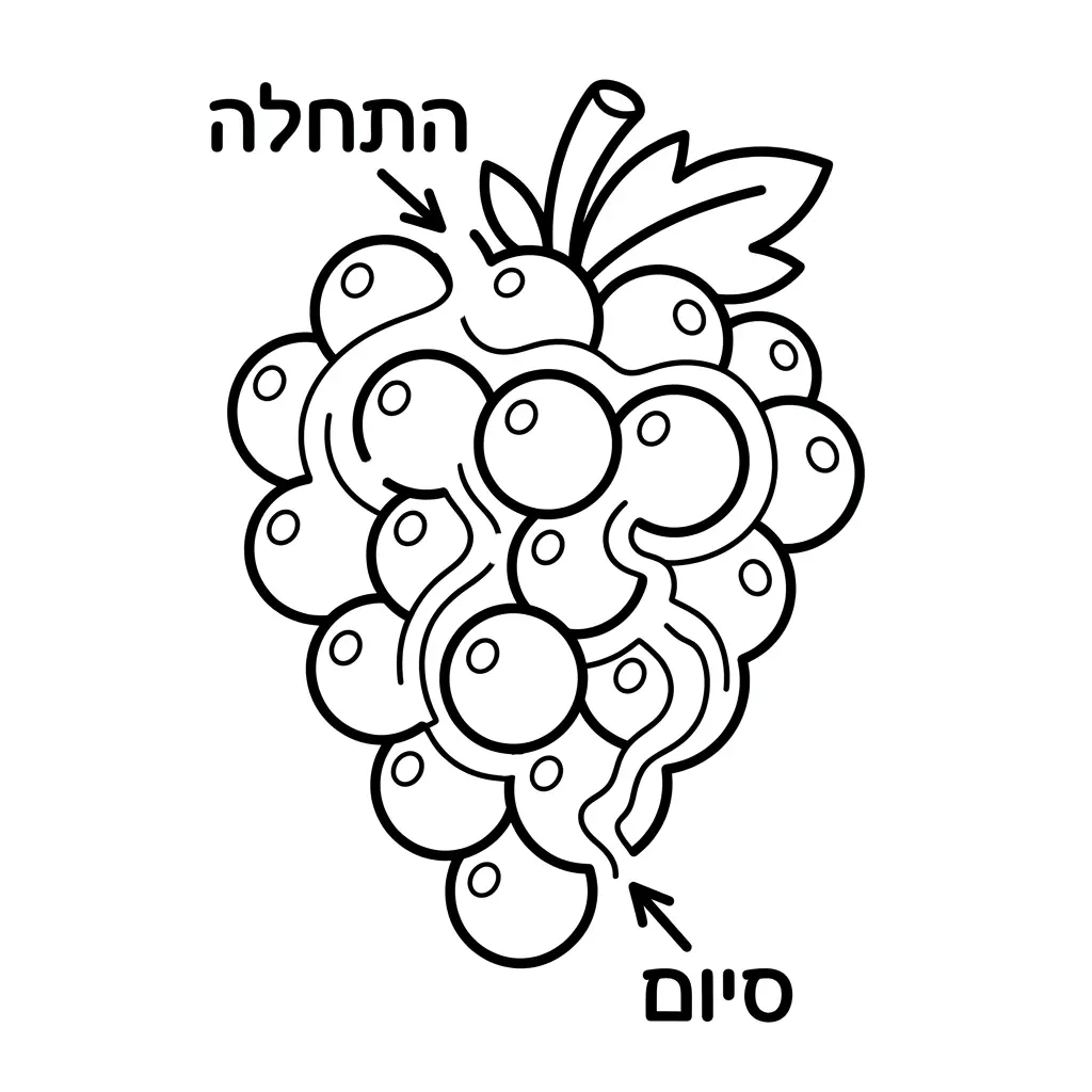 דף צביעה מבוך של ענבים להדפסה
