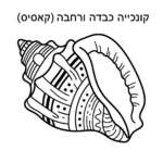 דף צביעה של קונכייה גדולה להדפסה