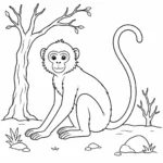 דף צביעה של לנגור בטבע להדפסה