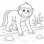דף צביעה של מקוק סרטנים רוחץ ידיים להדפסה