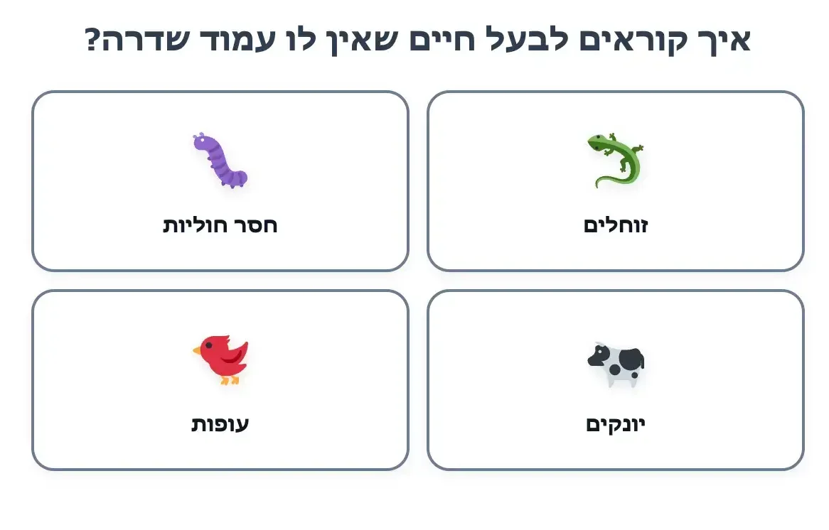 Hebrew quiz screen asking 'What are animals without a backbone called?' with four answer cards: Invertebrates, Reptiles, Birds, Mammals, each with a small icon.